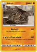 Fat cat