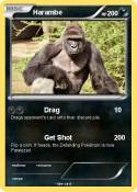Harambe