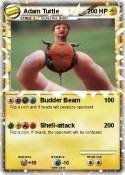 Adam Turtle