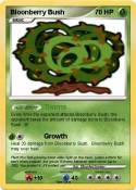 Bloonberry Bush