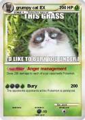 grumpy cat EX