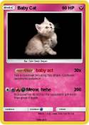Baby Cat
