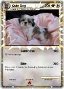 Cute Dog