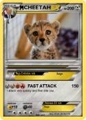 CHEETAH
