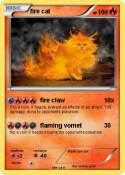 fire cat