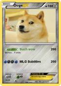 Doge
