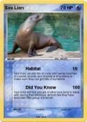 Sea Lion