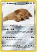 baby dog