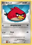 Red Bird