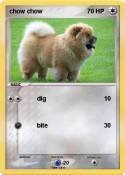 chow chow