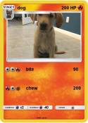 dog