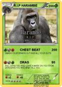 R.I.P HARAMBE