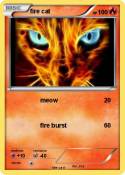fire cat