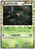 gartner snake