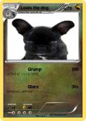 Louis the dog