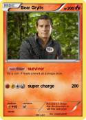 Bear Grylls