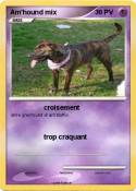 Am'hound mix