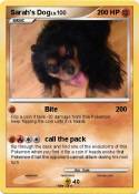 Sarah's Dog