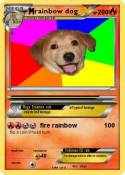 rainbow dog