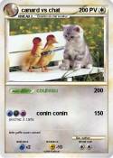 canard vs chat