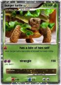 burger turtle