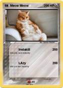 Mr. Meow Meow