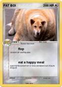 FAT BOI