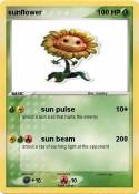 sunflower