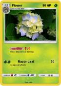 Flower