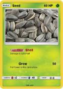 Seed