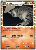 le chat