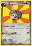 cat