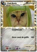 Chat-Boule