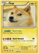 Doge