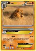 lion