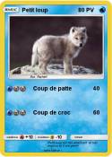 Petit loup