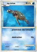 my tortue