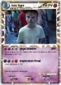 tom tigre
