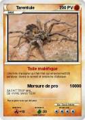 Tarentule