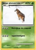 berger allemand