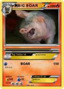 BIG BOAR