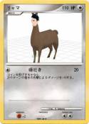 リャマ
