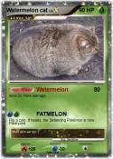Watermelon cat