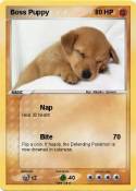 Boss Puppy