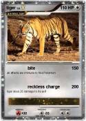 tiger