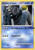 caniche en bere