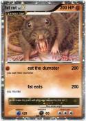 fat rat