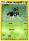 German Shepard