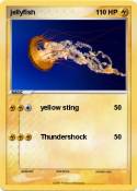 jellyfish