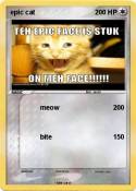 epic cat